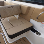 2025 Sea Ray