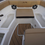 2025 Sea Ray