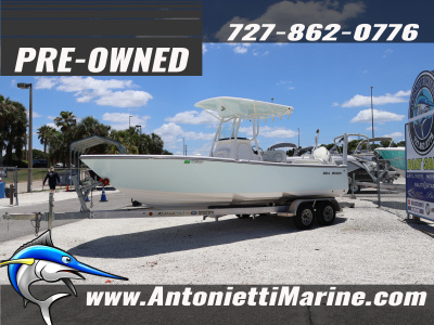 2019 Sea Born LX 24