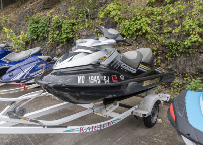 2009 Sea Doo RXT™ 215