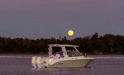 2027 Stingray 259 DC