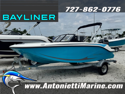 2026 Bayliner M17