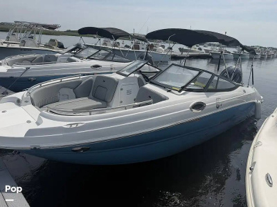2026 Stingray 231 DC