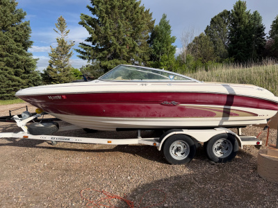 1999 Sea Ray 195 BR