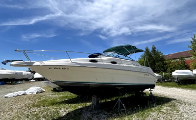 1995 Sea Ray 250 Sundancer