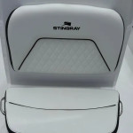 2027 Stingray