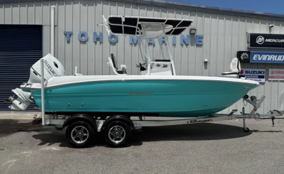 2027 Stingray 216 CC