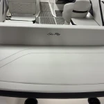 2025 Sea Ray