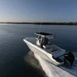 2025 Bayliner