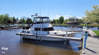 1982 Carver 3607 Aft Cabin