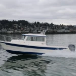2026 C Dory