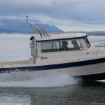 2026 C Dory