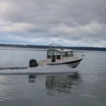 2026 C Dory