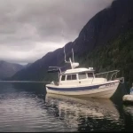 2026 C Dory