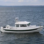 2026 C Dory