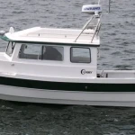2026 C Dory