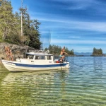 2026 C Dory