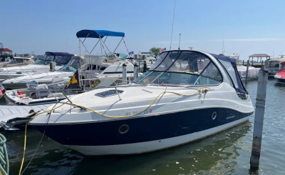 2020 Rinker EX 290