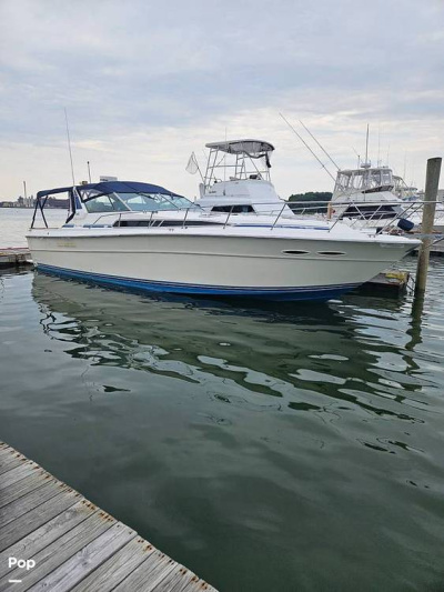 1987 Sea Ray 390 EC