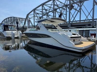 2026 Sea Ray SDX 290