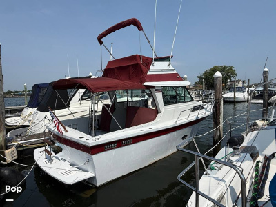 1989 Baha Cruisers FAMILY FB 310