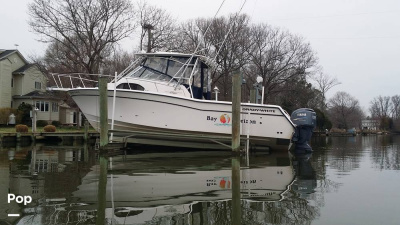 2002 Grady White 300 Marlin