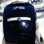 2026 Bayliner
