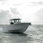 2026 Sailfish
