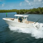 2026 Sailfish