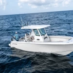 2026 Sailfish