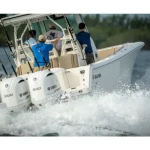 2026 Sailfish