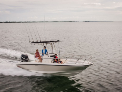 2018 Boston Whaler 240 Dauntless