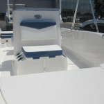 2025 Robalo