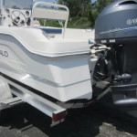 2025 Robalo