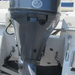 2025 Robalo
