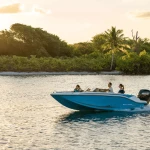 2025 Bayliner