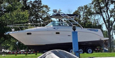 2008 Sea Ray 290 Amberjack