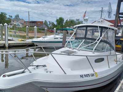 1999 Wellcraft 22 Walkaround