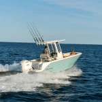 2026 Sailfish