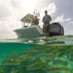 2026 Sailfish
