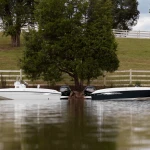 2025 Bayliner