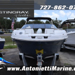 2026 Stingray