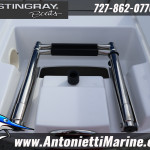 2026 Stingray