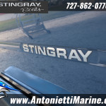 2026 Stingray