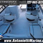 2026 Stingray