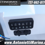 2026 Stingray