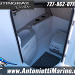2026 Stingray