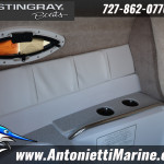 2026 Stingray