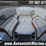 2026 Stingray