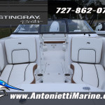 2026 Stingray
